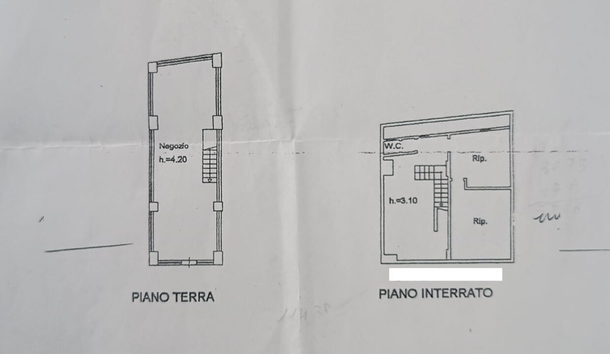 Piantina pubblicità